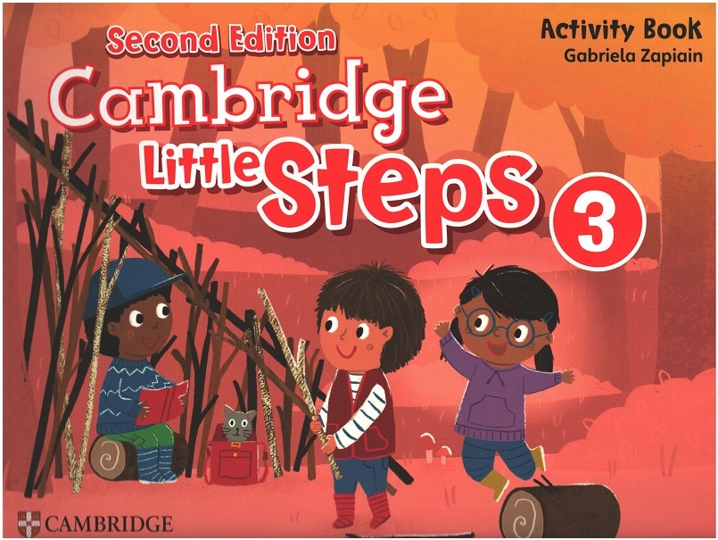 Cambridge Little Steps Level 3 Activity Book 2nd